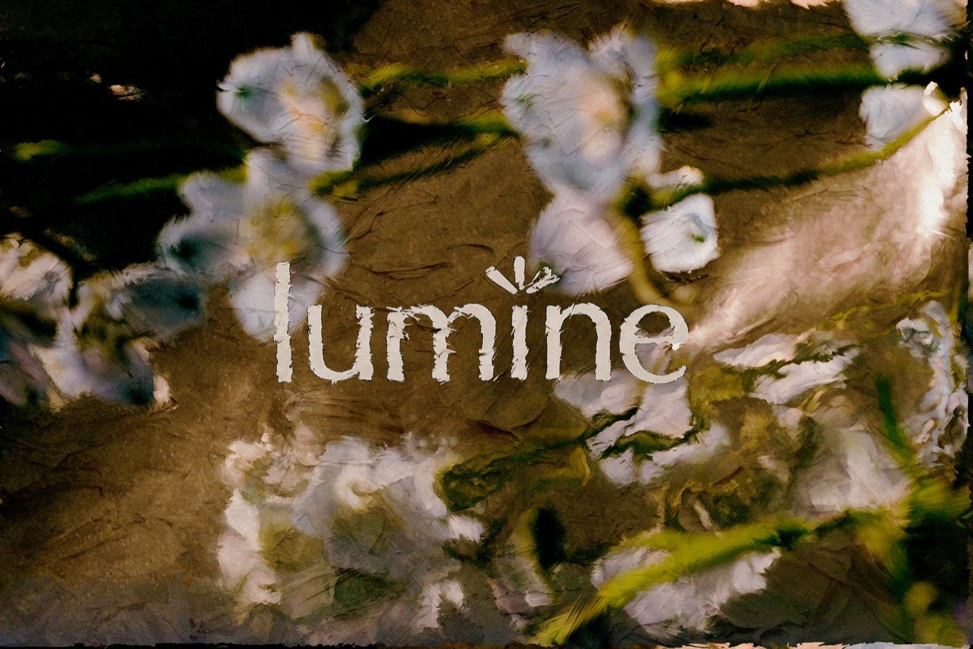 Lumine project by Brave